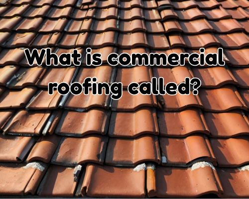 a shingle commercial roof