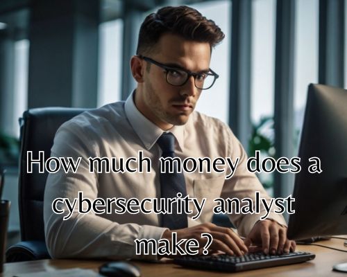 a cybersecurity analyst